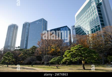 Tokyo, 14 dicembre 2017: Giardini Hamarikyu e grattacieli nella città di Tokyo. Honshu. Giappone. Foto Stock