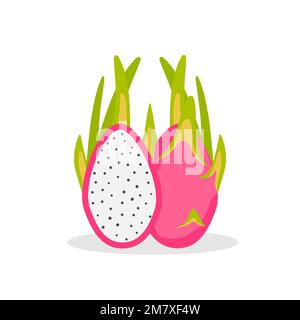 Frutti tropicali estivi per uno stile di vita sano. Frutto rosso del drago isolato su sfondo bianco. Illustrazione vettoriale. EPS 10. Illustrazione Vettoriale