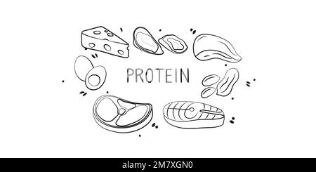 Protein-containing food. Groups of healthy products containing vitamins and minerals. Set of fruits, vegetables, meats, fish and dairy. Illustrazione Vettoriale