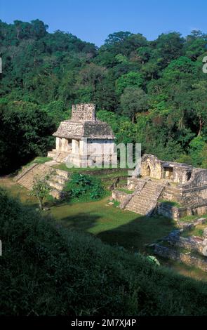 Messico, Campeche, rovine Maya, Palenque, Patrimonio Mondiale dell'UNESCO, Foto Stock