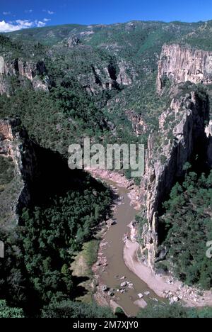 Messico, Chihuahua, Sierra Madre Occidental, Copper Canyon, fiume Urique Foto Stock