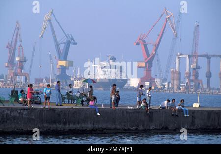 Messico, Costa del Golfo, vera Cruz, porto di vera Cruz Foto Stock