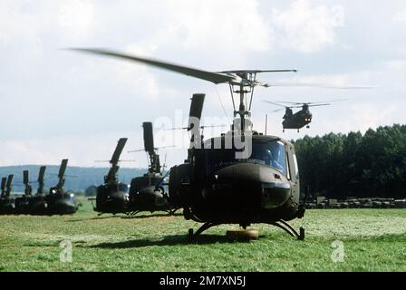 Una linea di elicottero UH-1N Iroquois sono parcheggiati durante l'esercizio Reforger '81. Un elicottero CH-47 Chinook, in volo, è sullo sfondo. Subject Operation/Series: REFORGER '81 base: Giessen Army Air Field Nazione: Germania Occidentale (FRG) Foto Stock