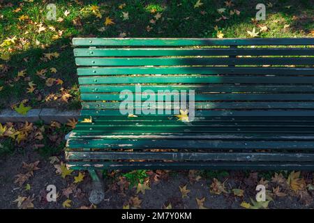 Panca verde di legno vuota in un parco con foglie cadute durante la caduta. Foto Stock