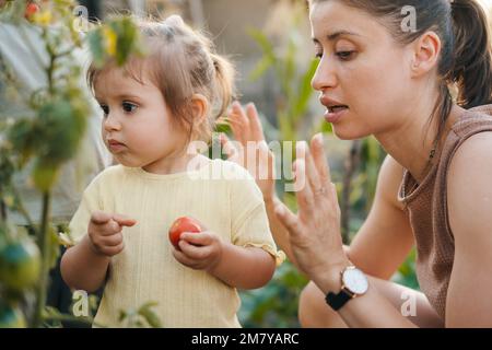 Giovane madre felice che raccoglierà prodotti freschi con i suoi figli. Famiglia auto-sostenibile raccolta di verdure fresche in un giardino. Foto Stock