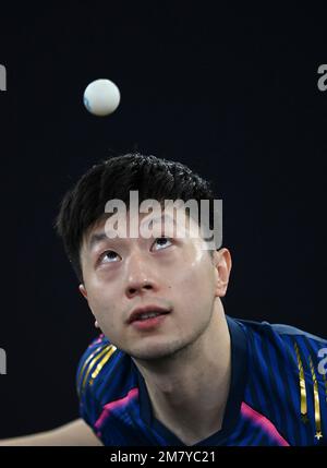 Doha, Qatar. 11th Jan, 2023. Ma Long of China serve durante la partita maschile contro Togami Shunsuke of Japan alle finali del World Table Tennis Championships (WTTC) Asian Continental Stage a Doha, Qatar, 11 gennaio 2023. Credit: Nikku/Xinhua/Alamy Live News Foto Stock