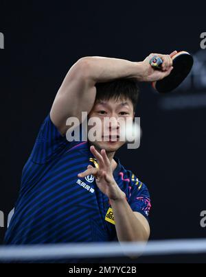 Doha, Qatar. 11th Jan, 2023. Ma Long of China ha un ritorno durante la partita maschile contro Togami Shunsuke of Japan alle finali del World Table Tennis Championships (WTTC) Asian Continental Stage a Doha, Qatar, 11 gennaio 2023. Credit: Nikku/Xinhua/Alamy Live News Foto Stock