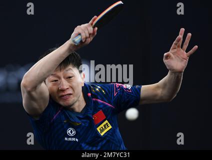 Doha, Qatar. 11th Jan, 2023. Ma Long of China ha un ritorno durante la partita maschile contro Togami Shunsuke of Japan alle finali del World Table Tennis Championships (WTTC) Asian Continental Stage a Doha, Qatar, 11 gennaio 2023. Credit: Nikku/Xinhua/Alamy Live News Foto Stock