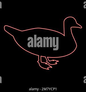 Anatra al neon maschio mallard Bird Waterbird Waterfowl pollame Canard rosso colore vettore illustrazione immagine piatto stile luce Illustrazione Vettoriale