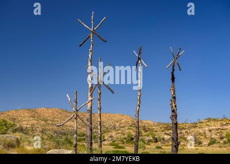 Intervento artistico di Marc Sellarès nel 2019 Ribera d'Ebre fuoco per aumentare la consapevolezza degli effetti del fuoco, Ribera d'Ebre Tarragona Spagna Foto Stock