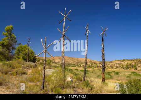 Intervento artistico di Marc Sellarès nel 2019 Ribera d'Ebre fuoco per aumentare la consapevolezza degli effetti del fuoco, Ribera d'Ebre Tarragona Spagna Foto Stock