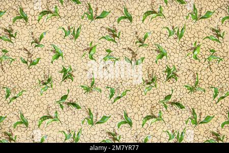 Antico arazzo floreale con il giglio della valle Foto Stock