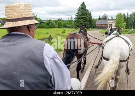 Periodo di sfruttamento del cavallo per il lavoro agricolo e dei trasporti, re Landing, storico villaggio anglofoni, il principe William parrocchia, Fredericton, New Brunswick, Canada, AMERICA DEL NORD Foto Stock