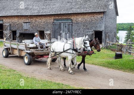 Periodo di sfruttamento del cavallo per il lavoro agricolo e dei trasporti, re Landing, storico villaggio anglofoni, il principe William parrocchia, Fredericton, New Brunswick, Canada, AMERICA DEL NORD Foto Stock