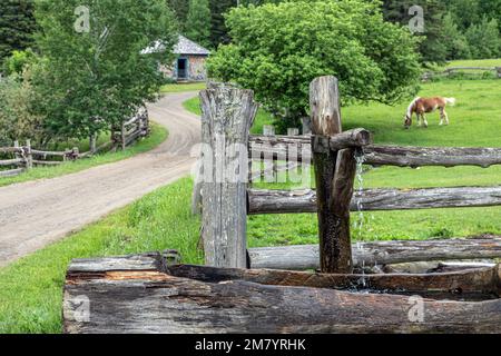 Legno trogolo di acqua per gli animali, re Landing, storico villaggio anglofoni, il principe William parrocchia, Fredericton, New Brunswick, Canada, AMERICA DEL NORD Foto Stock