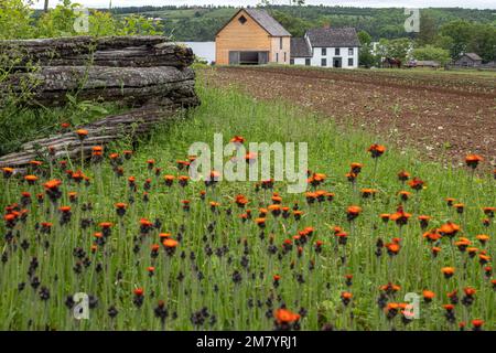 Fattoria JOSLIN, re Landing, storico villaggio anglofoni, il principe William parrocchia, Fredericton, New Brunswick, Canada, AMERICA DEL NORD Foto Stock