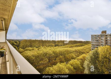 un'area esterna con alberi ed edifici sull'altro lato della foto è un cielo blu chiaro sullo sfondo Foto Stock