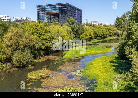 MUNICIPIO E IL FIUME LEZ, MONTPELLIER, HERAULT, OCCITANIE, FRANCIA Foto Stock