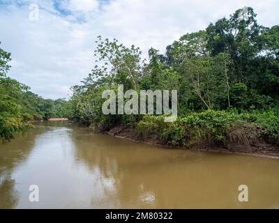 Rio Tiputini nell'Amazzonia ecuadoriana, il fiume scorre attraverso la foresta pluviale primaria incontaminata confinante con il Parco Nazionale di Yasuni Foto Stock