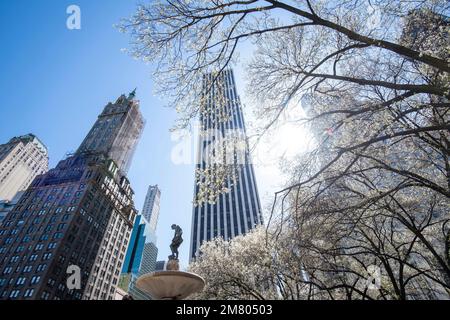 Primavera Blossom al Grand Army Plaza a New York City. USA Foto Stock