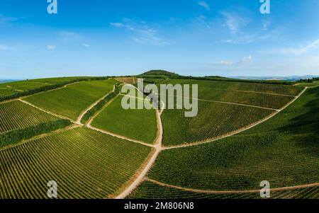 Vigneti di Villany. Questa è una delle famose regioni vinicole dell'Ungheria. Questo incredibile nome di formazione geolgica è la fossa del diavolo. Il nome ungherese è ordoga Foto Stock