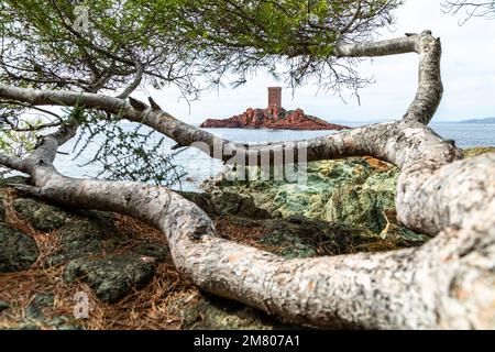 L'ILE D'OR VISTO DAL SENTIERO COSTIERO DI CAPO DRAMONT, SAINT-RAPHAEL, VAR, FRANCIA Foto Stock