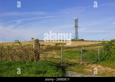 Un tipico della radio e della rete telefonica mobile telecommunications tower situare in terreni agricoli vicino Groomsport nella contea di Down, Irlanda del Nord fa un impres Foto Stock