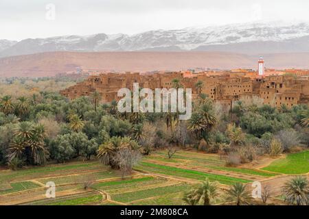 Una panoramica fuco di alberi lussureggianti in un campo con la città di Tinghir sullo sfondo in Marocco Foto Stock