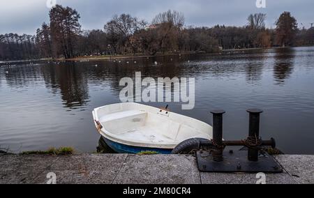 Alexandru Ioan Cuza (TitanIOR) Parco a Bucarest, Romania Foto Stock