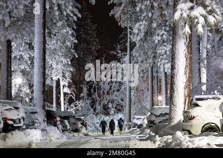 La gente cammina tra giganti congelati. La neve profonda copre gli alti alberi che circondano il panoramico lago Tahoe, in condizioni di bizzarro su un bellissimo e. Foto Stock