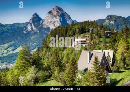 Vedute sulle Alpi dal picco Fronalpstock vicino al piccolo villaggio di Stoos nella Svizzera centrale Foto Stock