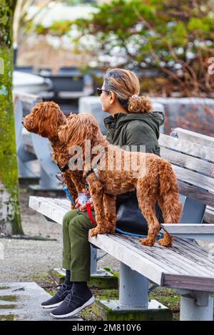 Proprietario e i suoi due cani seduti su una panchina lungo False Creek a Vancouver British Columbia Canada Foto Stock