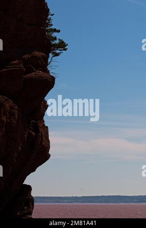 La roccia si affaccia lungo la costa di Fundy a Hopewell Rocks, New Brunswick. Foto Stock