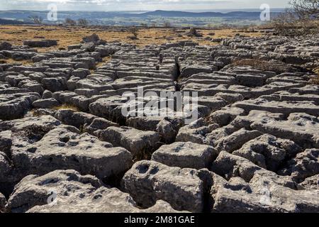 Hutton Roof, Regno Unito: Newbiggin Crags pavimentazione calcarea, Farleton è caduto. Drammatica formazione di rocce intemperie creata durante l'era glaciale. Foto Stock