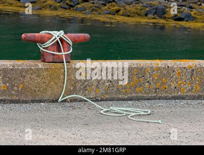 Una tacchetta rossa per la pesca su un molo di pesca in cemento in Nuova Scozia. Foto Stock