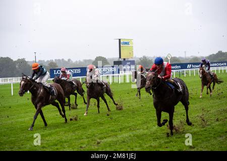 Ascot, Berkshire, Regno Unito. 2nd ottobre 2021. I piloti della Equine Productions The Fall Challenge Cup. Credito: Maureen McLean/Alamy Foto Stock