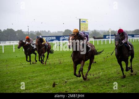 Ascot, Berkshire, Regno Unito. 2nd ottobre 2021. I piloti della Equine Productions The Fall Challenge Cup. Credito: Maureen McLean/Alamy Foto Stock