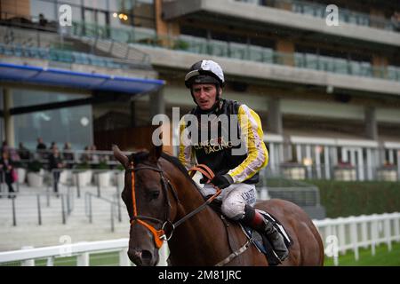 Ascot, Berkshire, Regno Unito. 2nd ottobre 2021. Horse River Nymph guidato dal jockey Adam Kirby nella Equine Productions The Fall Challenge Cup. Credito: Maureen McLean/Alamy Foto Stock