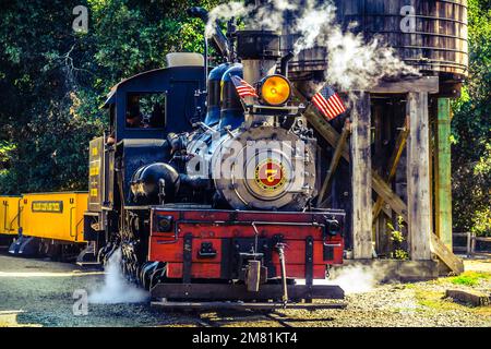 Treno a vapore Sonoma Roaring Camp California Foto Stock