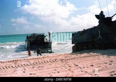 Un 3rd Marine Amphibious Assault Company personale veicolo di atterraggio cingolato (LVTP7) è utilizzato per trainare un M151 leggero utility vehicle sulla spiaggia durante l'operazione KERNAL BLITZ. La M151 è stata scaricata da un'imbarcazione di atterraggio meccanizzata (LCM Mark 8). Soggetto operativo/Serie: KERNAL BLITZ base: Bellows Beach, Oahu Stato: Hawaii (HI) Paese: Stati Uniti d'America (USA) Foto Stock