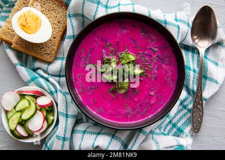 Zuppa lituana chlodnik con cetrioli, ravanello e uova. Piatto sano gustoso, vista dall'alto. Foto Stock