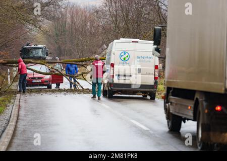 BOSZENFA, UNGHERIA - GENNAIO 10 2023: Albero caduto ha bloccato la strada e ha causato congestione sulla strada Boszenfa. Gennaio 10 2023 Boszenfa, Ungheria Foto Stock