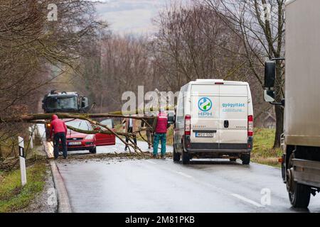 BOSZENFA, UNGHERIA - GENNAIO 10 2023: Albero caduto ha bloccato la strada e ha causato congestione sulla strada Boszenfa. Gennaio 10 2023 Boszenfa, Ungheria Foto Stock