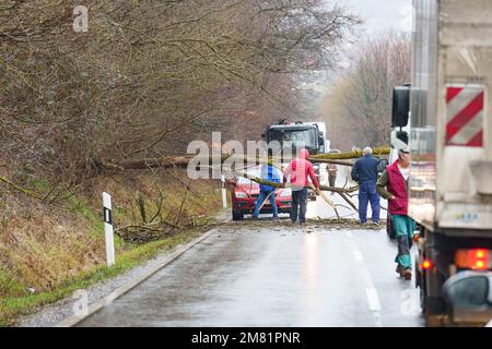BOSZENFA, UNGHERIA - GENNAIO 10 2023: Albero caduto ha bloccato la strada e ha causato congestione sulla strada Boszenfa. Gennaio 10 2023 Boszenfa, Ungheria Foto Stock