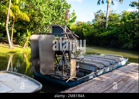 Everglades City, Florida, Stati Uniti d'America. Escursioni in idroscivolante nella foresta di mangrovie Foto Stock