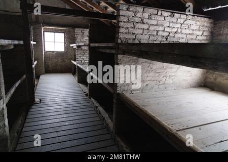 Campo di concentramento nazista di Auschwitz Birkenau - interno della caserma della morte, dove i prigionieri erano tenuti prima delle camere a gas, Polonia Europa. Foto Stock