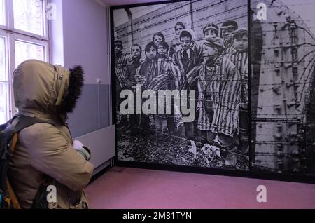 Museo di Auschwitz - visitatori che guardano le fotografie originali dei prigionieri della seconda guerra mondiale scattate nel campo di concentramento di Auschwitz-Birkenau; Oswiecim, Polonia Foto Stock