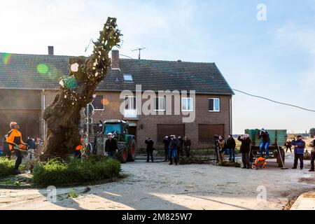 Città abbandonata di Borschemich, Germania. I depositi di lignite sotto i villaggi del basso Reno hanno costretto i residenti a lasciare la loro proprietà e centro di vita Foto Stock