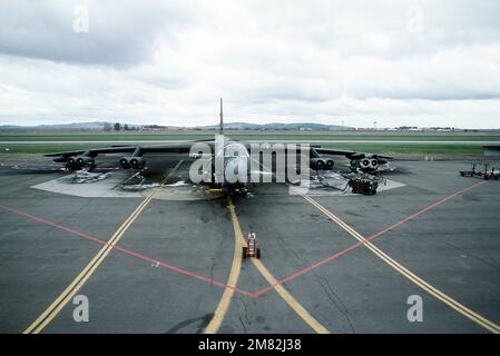 Una vista frontale del nuovo velivolo camuffato B-52G Stratofortress dell'Ala bombardamento del 92nd in servizio. Questi B-52Gs sono i primi aerei completamente camuffati del loro tipo. Base: Fairchild Air Force base Stato: Washington (WA) Paese: Stati Uniti d'America (USA) Foto Stock