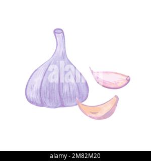 Illustrazione dell'aglio in stile acquerello cartoon disegnato a mano isolato su sfondo bianco. Elemento di disegno vettoriale. Illustrazione Vettoriale